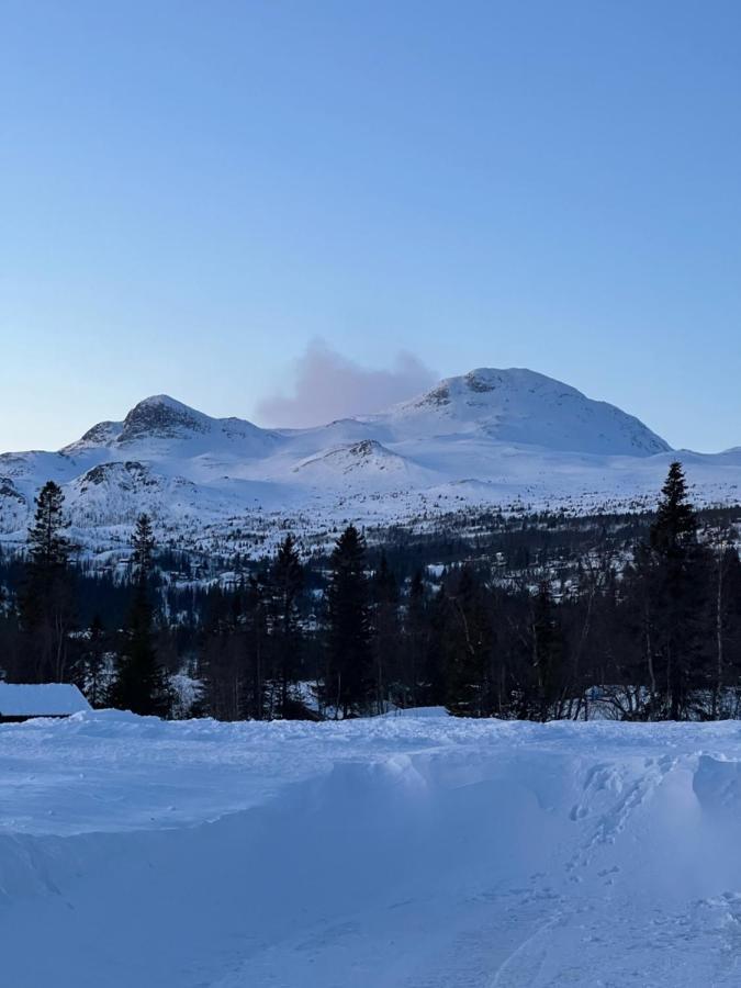 Brand New Cabin On The Sunny Side Of Gaustatoppen With A Great View Tuddal Exterior photo