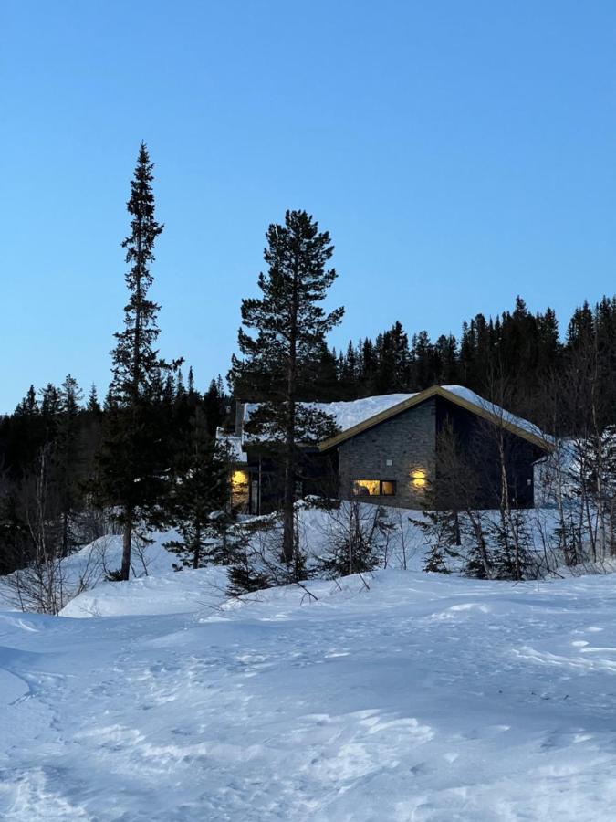 Brand New Cabin On The Sunny Side Of Gaustatoppen With A Great View Tuddal Exterior photo